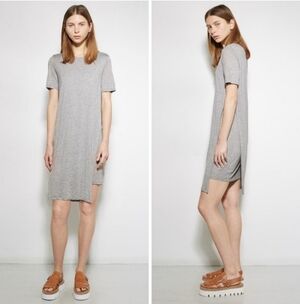 Acne Studios Grey Obelia Tencel Tee Dress Size XS